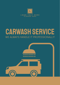 Professional Carwash Poster