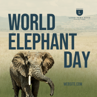 World Elephant Day Instagram Post