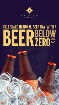 Below Zero Beer Facebook Story