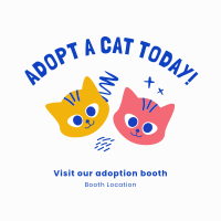 Adopt A Cat Today Instagram Post