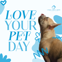 Love Your Pet Today Instagram Post