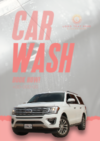 Car Wash Professional Service Poster