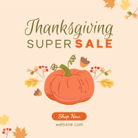 Thanksgiving Pumpkin Sale Instagram Post