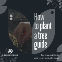 Plant Trees Guide Instagram Post