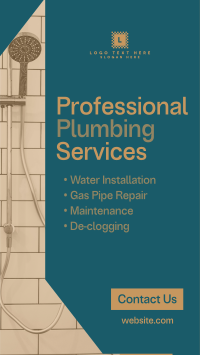 Professional Plumbing Service TikTok Video