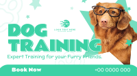 Quirky Dog Training Animation