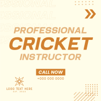 Let's Play Cricket Instagram Post