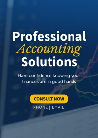 Professional Accounting Solutions Flyer