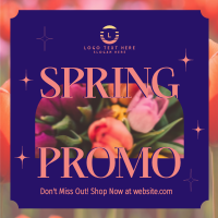 Contemporary Spring Promo Instagram Post