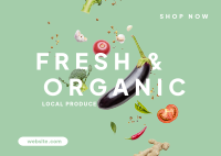 Organic Fresh Postcard