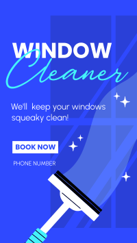 Squeaky Clean Windows TikTok Video