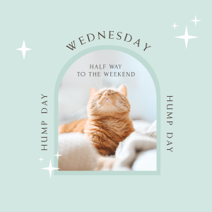 Wednesday Hump Day Instagram Post Image Preview