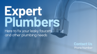 Expert Plumbers Animation