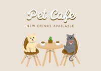 Pet Cafe Free Drink Postcard