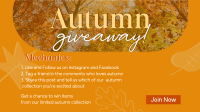 Autumn Leaves Giveaway Video