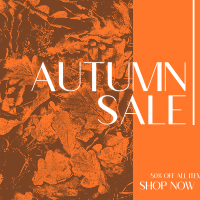 Autumn Leaves Sale Instagram Post Design