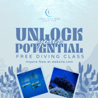 Free Diving Class Linkedin Post