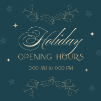 Elegant Holiday Opening Instagram Post