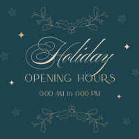 Elegant Holiday Opening Instagram Post Image Preview