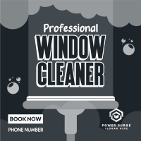 Window Experts Linkedin Post Image Preview