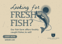 Fresh Fish Farm Postcard