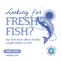 Fresh Fish Farm Instagram Post