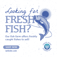 Fresh Fish Farm Instagram Post Image Preview