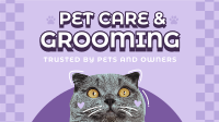 Pet Care Animation