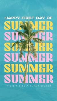 Summer Palm Tree Instagram Reel