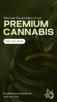 Premium Cannabis TikTok Video