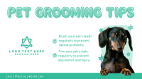 Pet Care Tips Animation