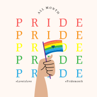 Pride Flag Instagram Post