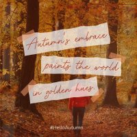 Autumn's Embrace Quote Instagram Post Image Preview