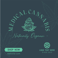 Cannabis Therapy Instagram Post