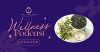 Wellness Podcast Facebook Ad