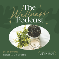 Wellness Podcast Instagram Post Image Preview