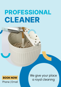 Professional Cleaner Poster