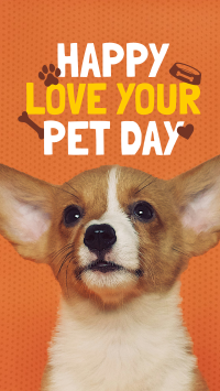 Wonderful Love Your Pet Day Greeting TikTok Video