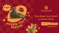Adopt a Cat Animation