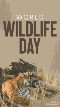 Wildlife Conservation Video