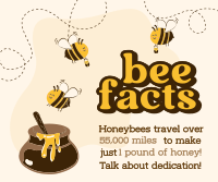 Honey Bee Facts Facebook Post