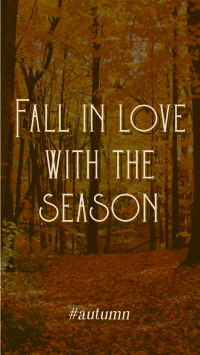 Minimalist Autumn Season Quotes Instagram Reel Image Preview