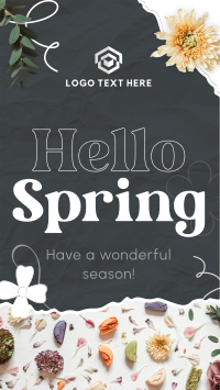 Hello Spring Video