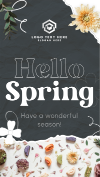 Hello Spring Video