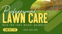 Professional Lawn Cleaning Video