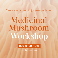 Minimal Medicinal Mushroom Workshop Instagram Post