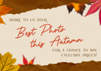 Autumn Customer Engagement Postcard Image Preview