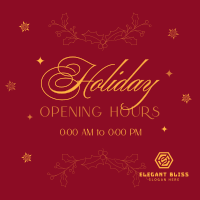 Elegant Holiday Opening Instagram Post Image Preview