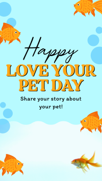 Bubbly Pet Day Video