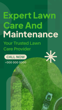 Expert Lawn Maintenance TikTok Video